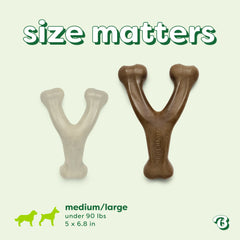 Benebone Essentials Wishbone Bacon M/L
