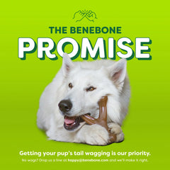 Benebone Essentials Wishbone Bacon M/L