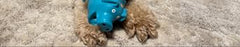 Multipet Polka-Dot Pigs Latex Dog Toys (3 Pack)