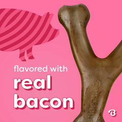 Benebone Essentials Wishbone Bacon M/L