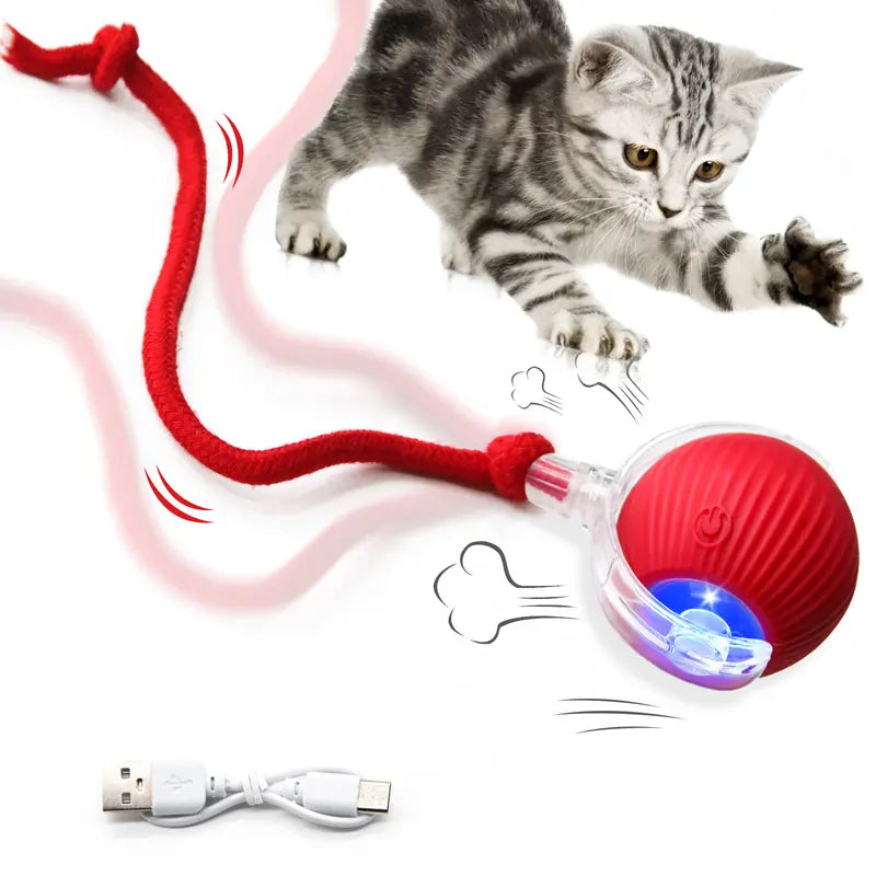 Interactive Cat Toy With Bird Sound Rolling Ball Kit Keeps Indoor Cats And Dogs Engaged All Day Fun Pet Toy For Active Kittens