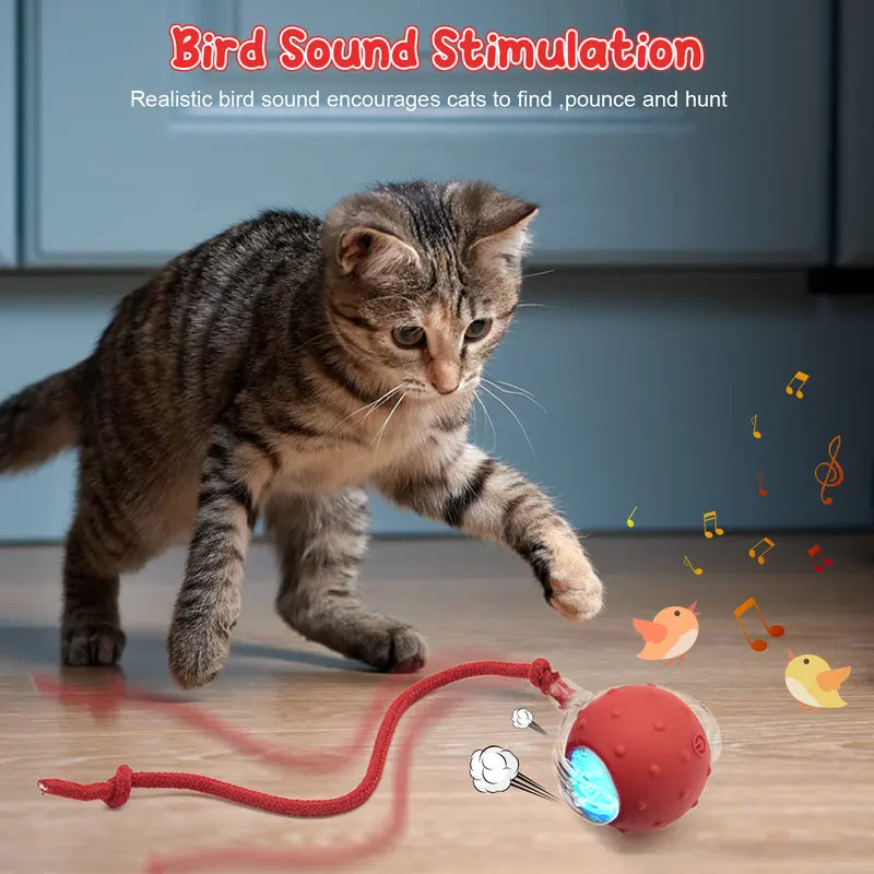 Interactive Cat Toy With Bird Sound Rolling Ball Kit Keeps Indoor Cats And Dogs Engaged All Day Fun Pet Toy For Active Kittens