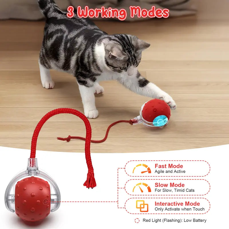 Interactive Cat Toy With Bird Sound Rolling Ball Kit Keeps Indoor Cats And Dogs Engaged All Day Fun Pet Toy For Active Kittens