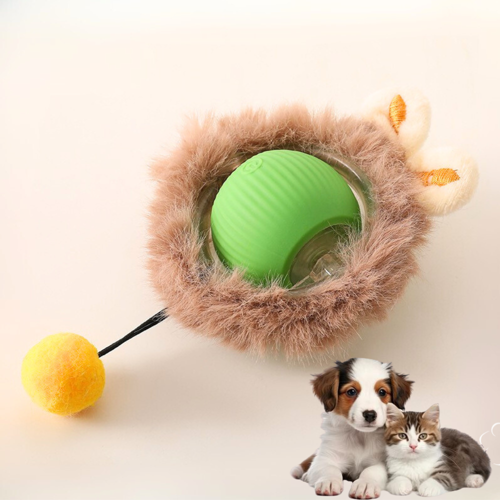 Interactive Cat Toy With Bird Sound Rolling Ball Kit Keeps Indoor Cats And Dogs Engaged All Day Fun Pet Toy For Active Kittens