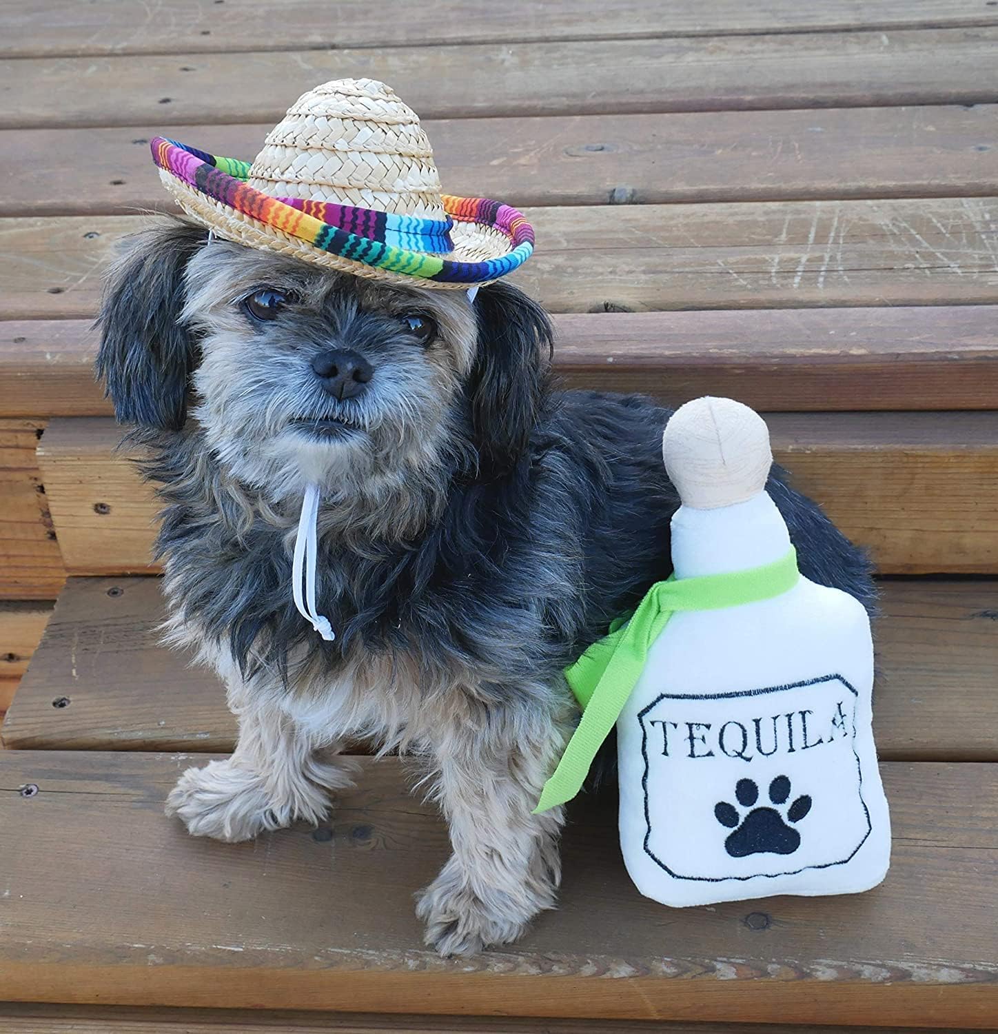 4 Pack Fiesta Dog Chew Toys and Sombrero - Mexican Squeak Plush Toys - Dog Gifts for Chihuahuas - Taco - Tequila - Hot Sauce - for All Breeds