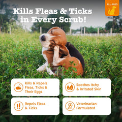 Zesty Paws Flea & Tick Spray for Dogs, to Repel & Kill Flea & Ticks, 16oz Bottle