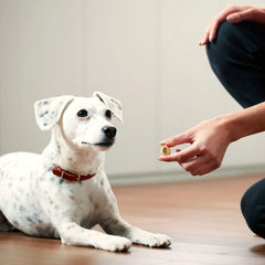 Milk Bone Merry MaroSnacks Peanut Butter Flavored Holiday Dog Treats With Bone Marrow, 40 oz