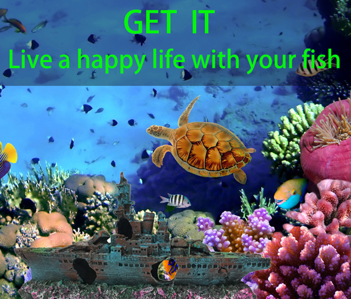 SLOCME Sunken Ship Aquarium Decoration – Resin Shipwreck Ornament for Fish Tank, Eco-Friendly Aquarium Decor for Betta, Freshwater & Saltwater Tanks (9 Inch)