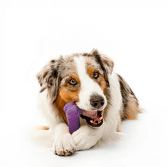 Playology Dog Toys | Durable Chew Toy Dual Layer Bone, Bacon Scented Toy - Jumbo