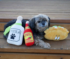 4 Pack Fiesta Dog Chew Toys and Sombrero - Mexican Squeak Plush Toys - Dog Gifts for Chihuahuas - Taco - Tequila - Hot Sauce - for All Breeds