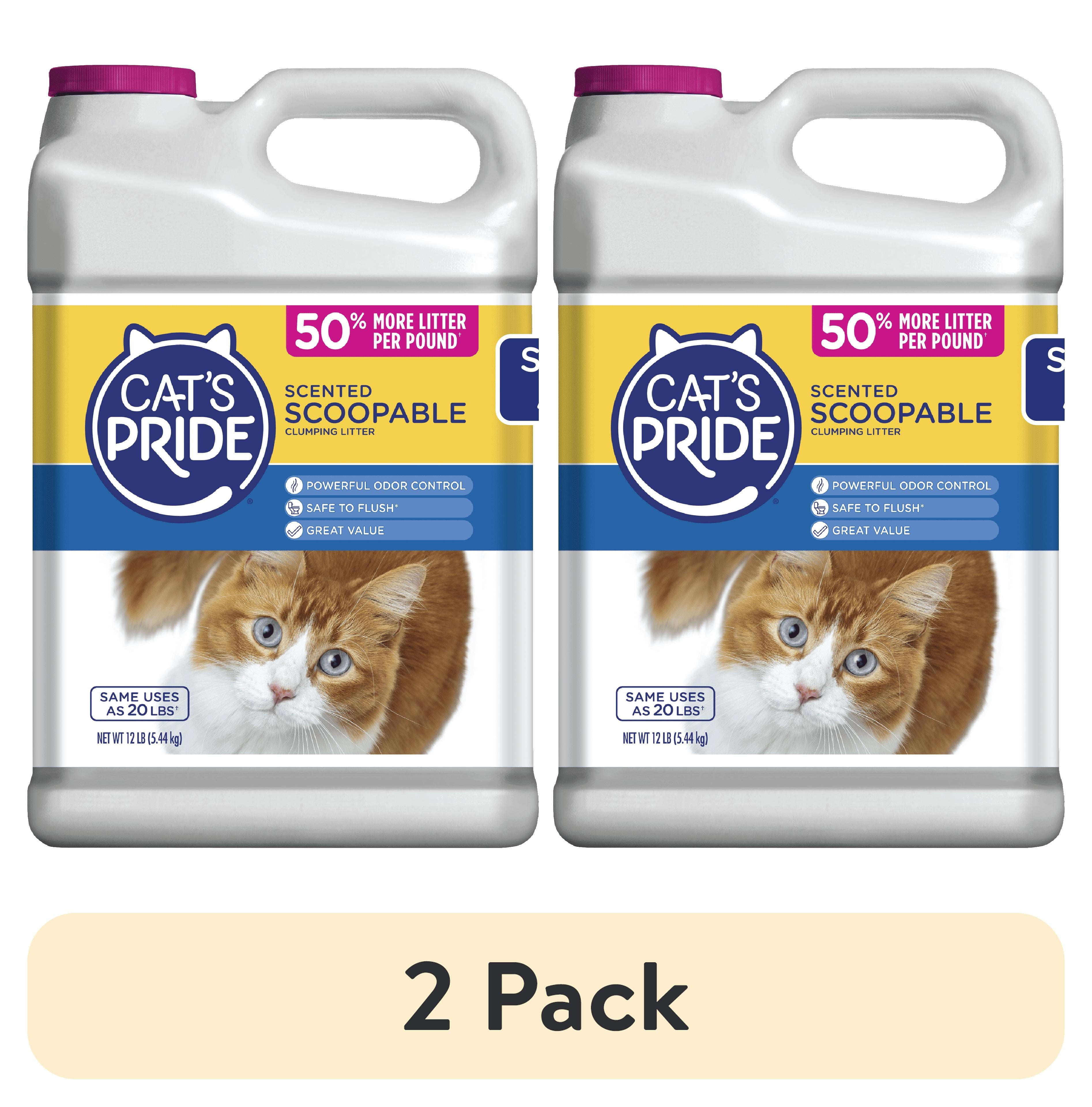 Cat's Pride Scented Scoopable Cat Litter, 12 lb Jug