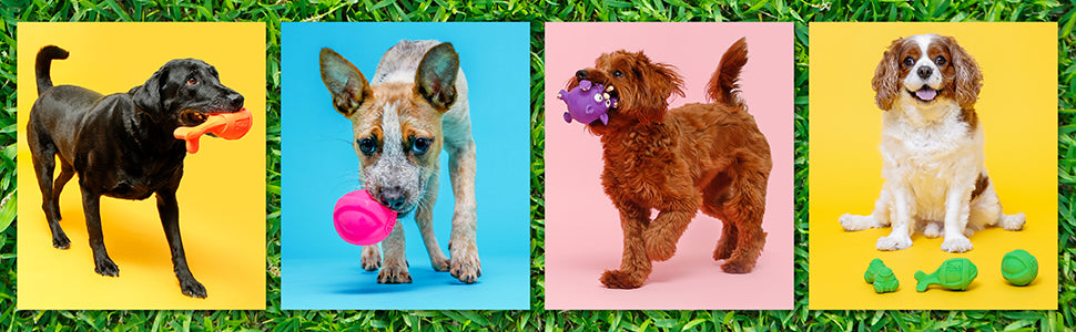 Hartz DuraPlay Bone Squeaky Latex Dog Toy for Small Breeds, 3 Pack