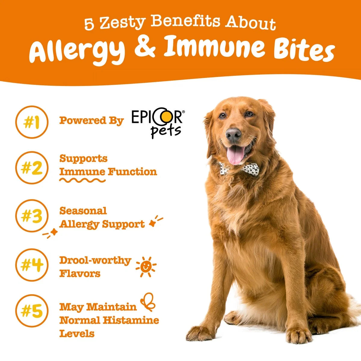 Zesty Paws Allergy & Immune Bites for Dogs, Allergy Relief and Supports Immune Function, Lamb Flavor, 60 Count Soft Chews