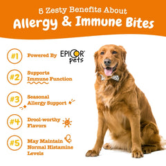 Zesty Paws Allergy & Immune Bites for Dogs, Allergy Relief and Supports Immune Function, Lamb Flavor, 60 Count Soft Chews