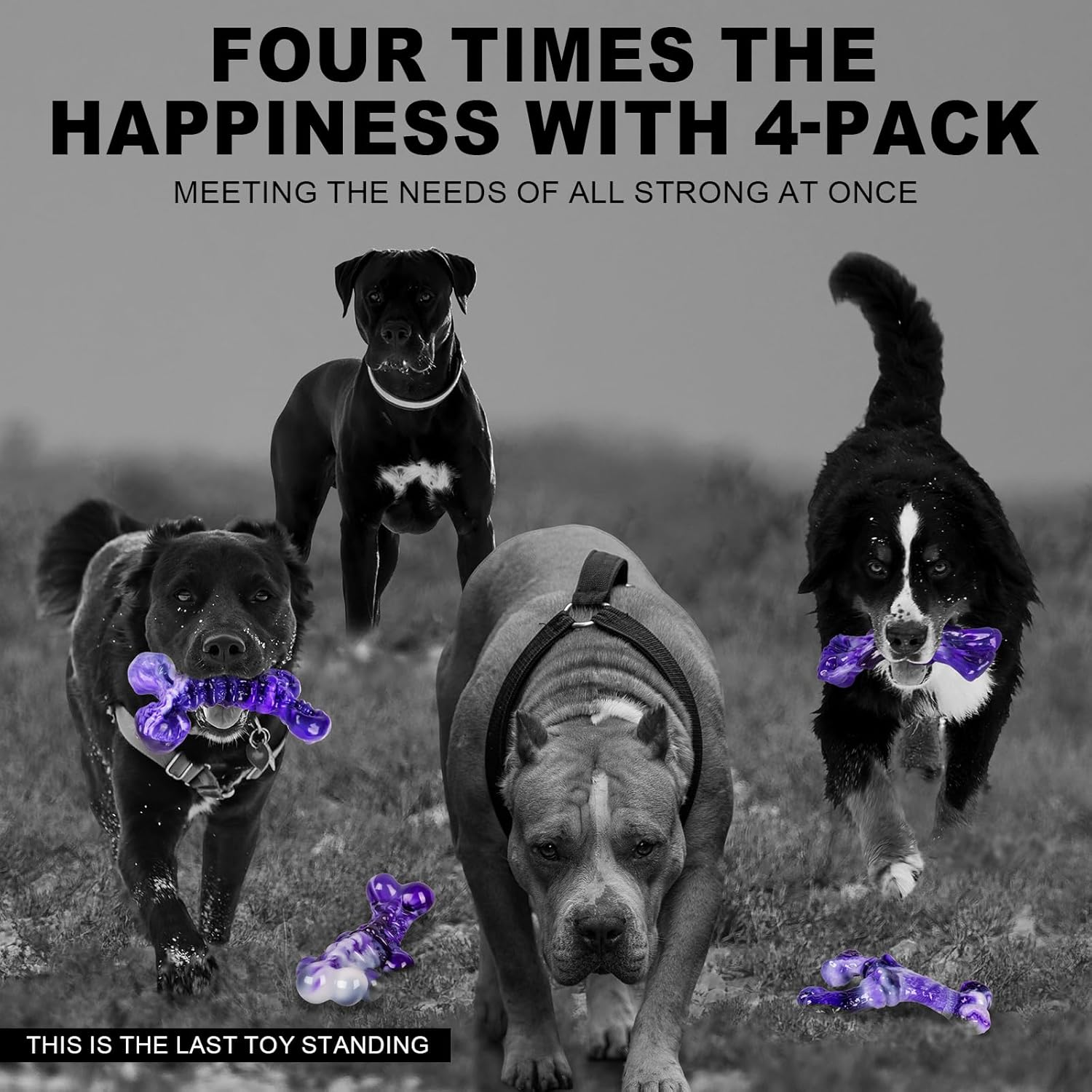 4-Pack Indestructible Chew Toys for Extra-Large Dogs - Aggressive Chewers, Durable Nylon Bone, Heavy Duty Long-Lasting Dog Toys for Large Breed & Strong Chewers