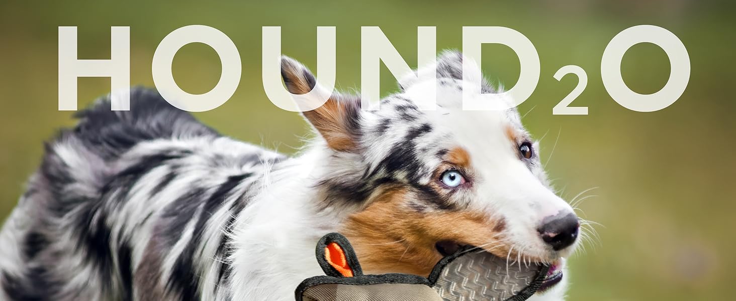 Plush Outdoor Toys for Dogs | Flying Duck | Fun Hunting Themed Durable Dog Toy with Playful Chuckler