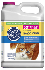 Cat's Pride Scented Scoopable Cat Litter, 12 lb Jug