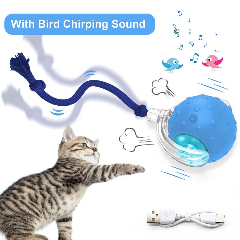 Interactive Cat Toy With Bird Sound Rolling Ball Kit Keeps Indoor Cats And Dogs Engaged All Day Fun Pet Toy For Active Kittens