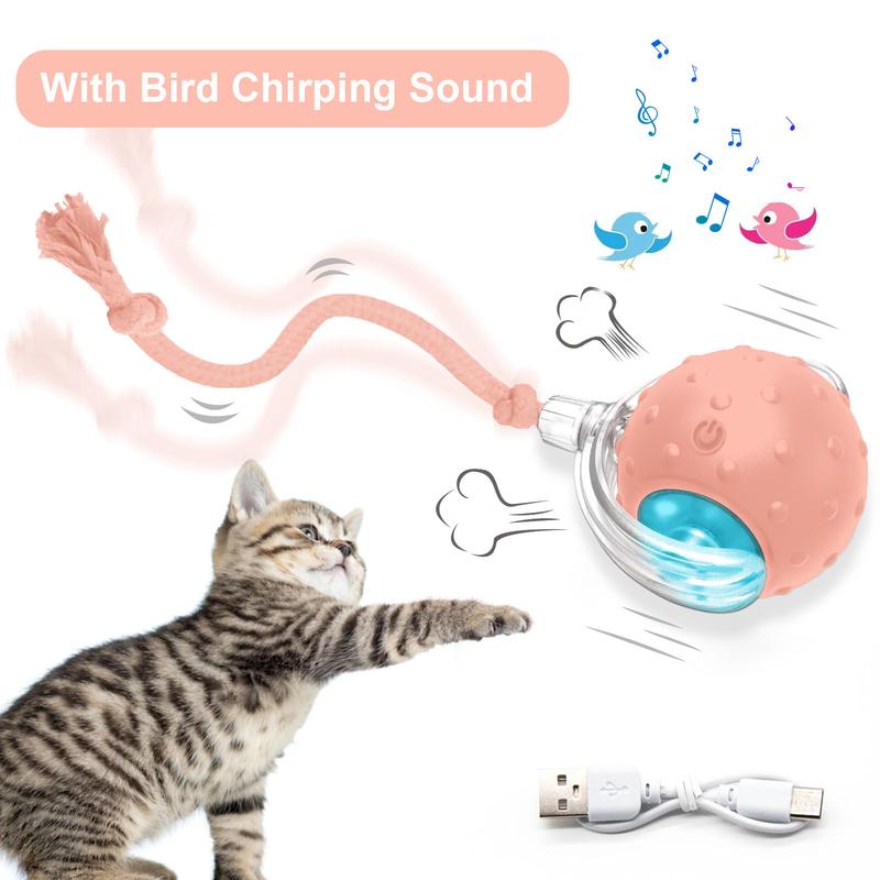 Interactive Cat Toy With Bird Sound Rolling Ball Kit Keeps Indoor Cats And Dogs Engaged All Day Fun Pet Toy For Active Kittens