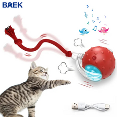 Interactive Cat Toy With Bird Sound Rolling Ball Kit Keeps Indoor Cats And Dogs Engaged All Day Fun Pet Toy For Active Kittens