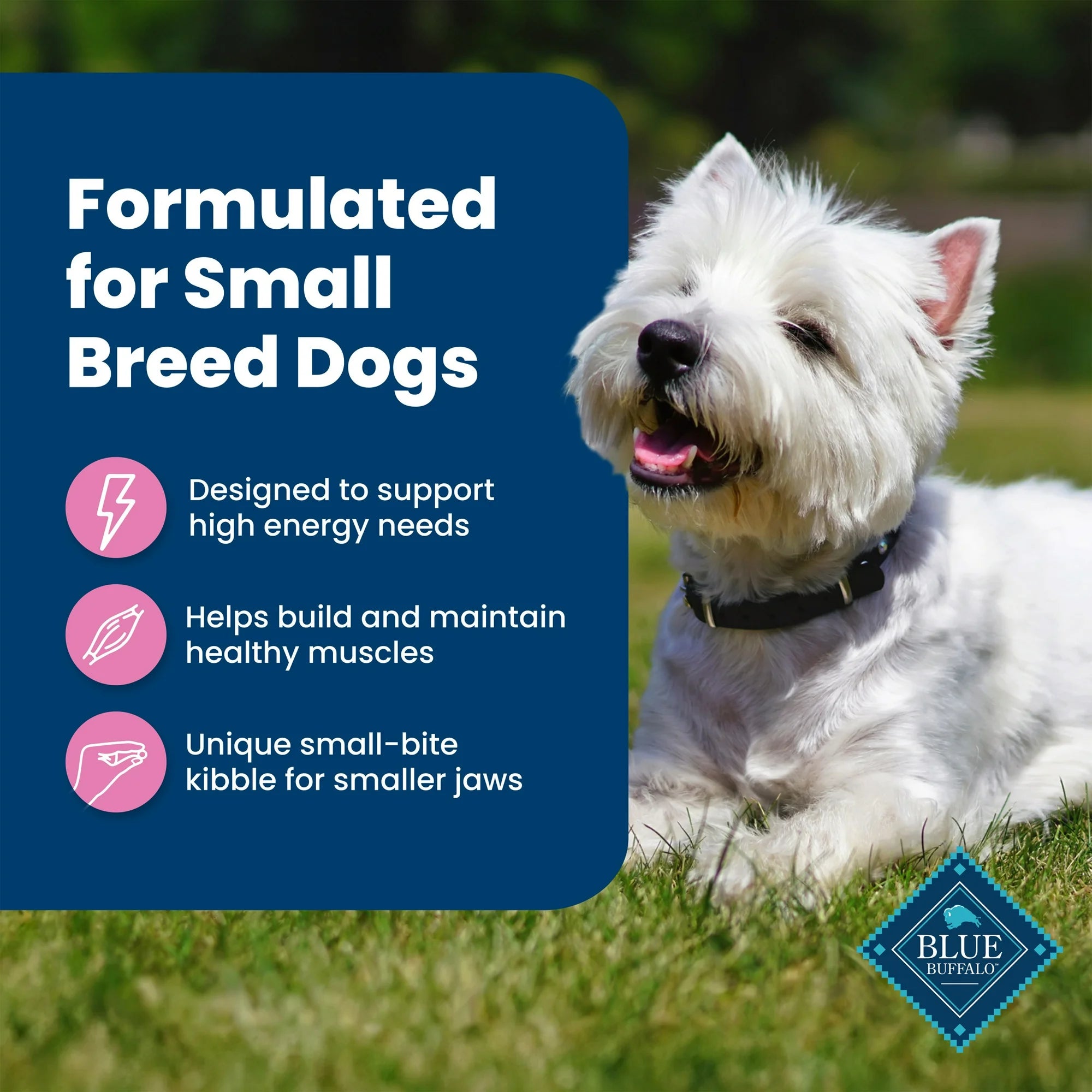 Blue Buffalo Life Protection Formula Small Breed Dry Dog Food Chicken & Brown Rice 5 lbs