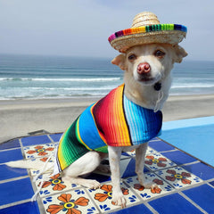 4 Pack Fiesta Dog Chew Toys and Sombrero - Mexican Squeak Plush Toys - Dog Gifts for Chihuahuas - Taco - Tequila - Hot Sauce - for All Breeds