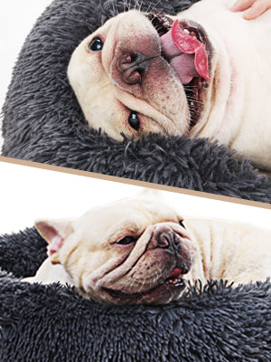 Small Calming Dogs Bed for Small Dogs Anti-Anxiety Machine Washable Fluffy Luxury Anti-Slip Waterproof Mute Base Warming Cozy Soft Pet Puppy Round Bed