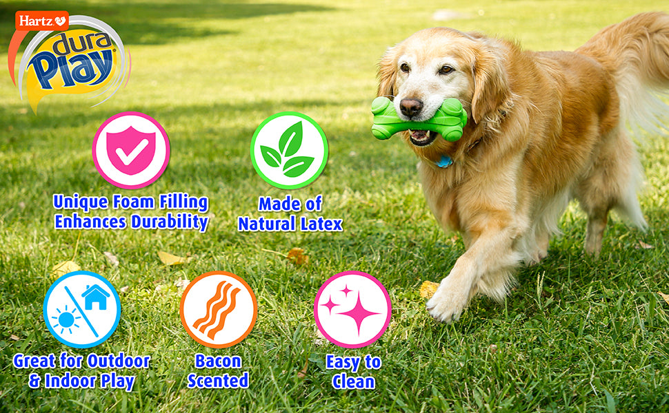 Hartz DuraPlay Bone Squeaky Latex Dog Toy for Small Breeds, 3 Pack