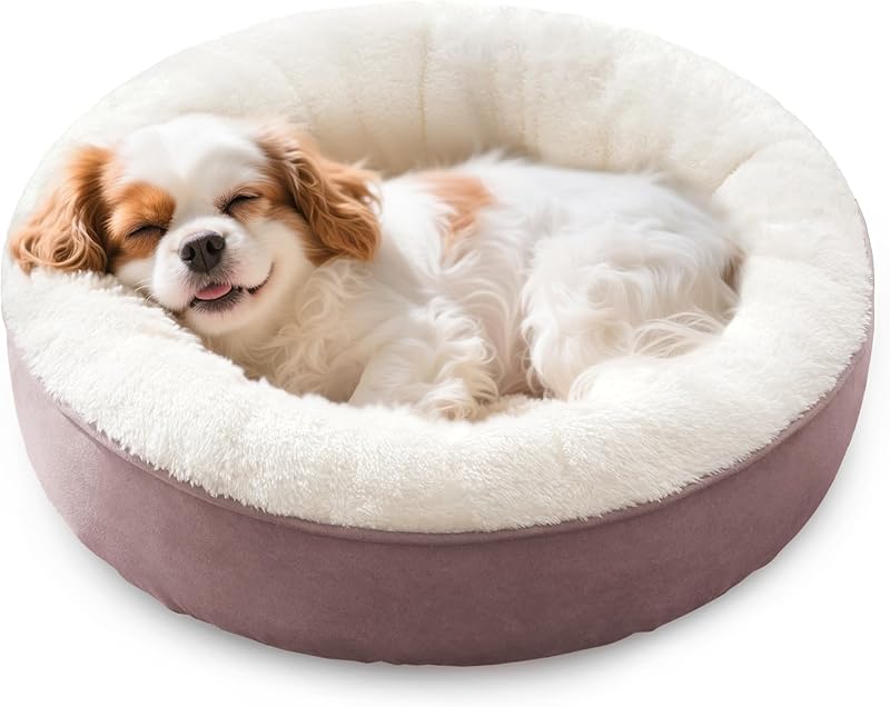 Love's cabin Round Donut Cat and Dog Cushion Bed, 20in Bed for Cats or Small Dogs, Anti-Slip & Water-Resistant Bottom, Super Soft Durable Fabric Pet Beds, Washable Luxury Cat & Dog Bed Gray