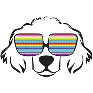 4 Pack Fiesta Dog Chew Toys and Sombrero - Mexican Squeak Plush Toys - Dog Gifts for Chihuahuas - Taco - Tequila - Hot Sauce - for All Breeds