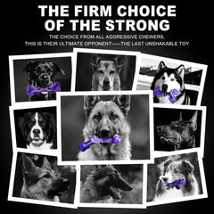 4-Pack Indestructible Chew Toys for Extra-Large Dogs - Aggressive Chewers, Durable Nylon Bone, Heavy Duty Long-Lasting Dog Toys for Large Breed & Strong Chewers
