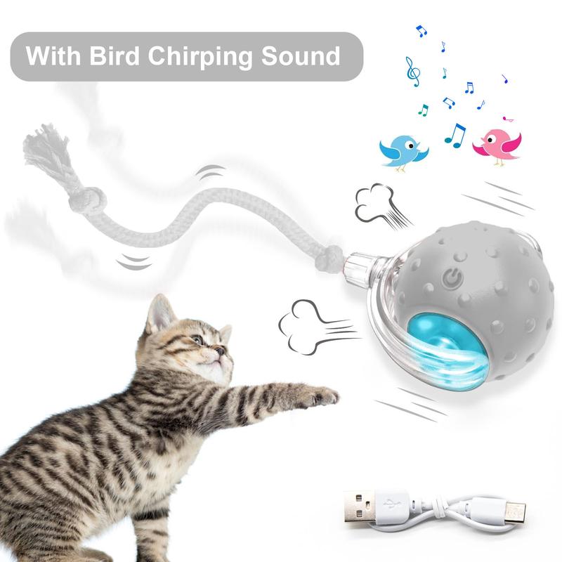 Interactive Cat Toy With Bird Sound Rolling Ball Kit Keeps Indoor Cats And Dogs Engaged All Day Fun Pet Toy For Active Kittens